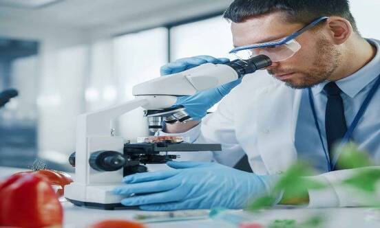 Исследования продуктов